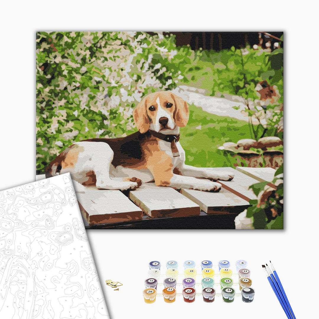 Painting by numbers Long-eared friend (BS52630)