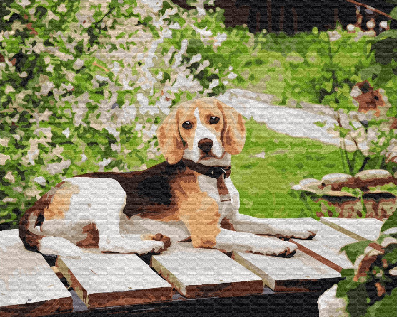 Painting by numbers Long-eared friend (BS52630)