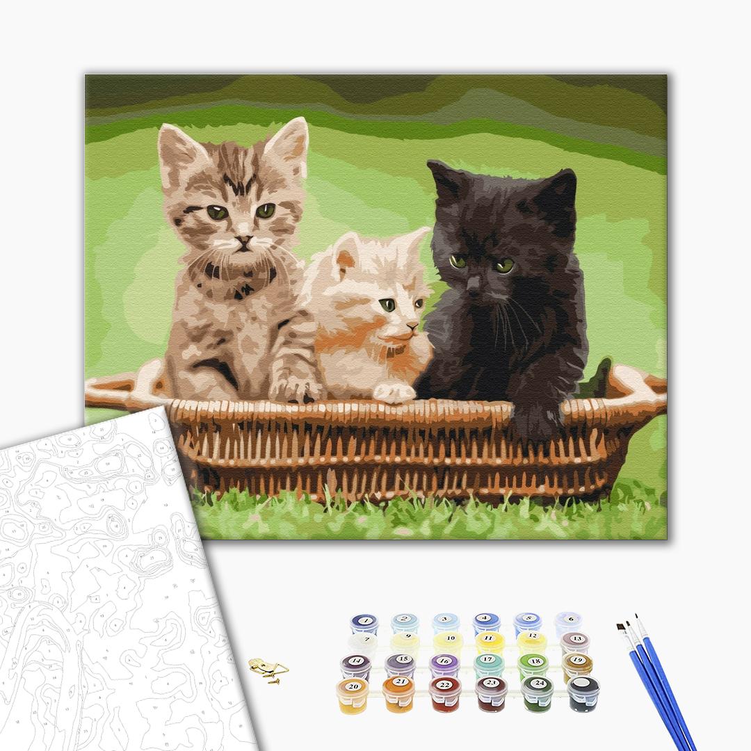 Painting by numbers Kittens in a basket (BS52621)