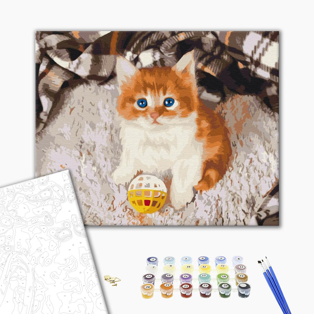 Painting by numbers Playful kitten (BS52620)