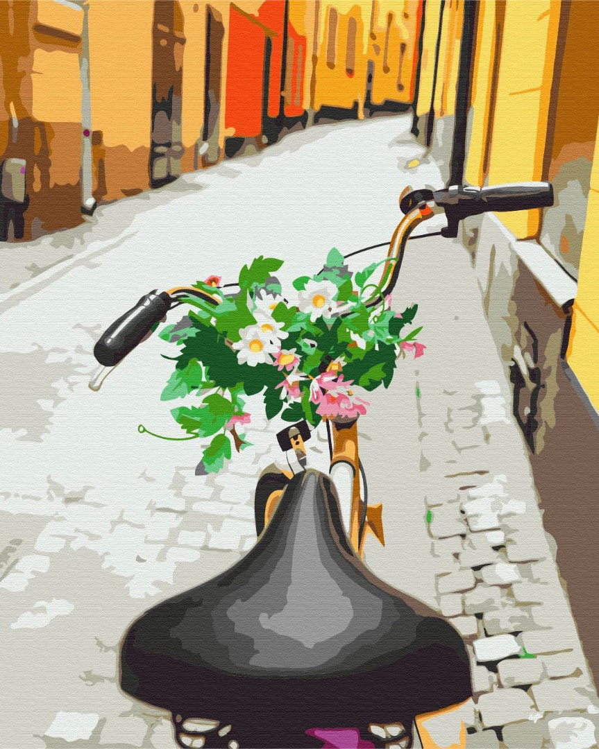 Painting by numbers Cycling in the old town (BS52583)