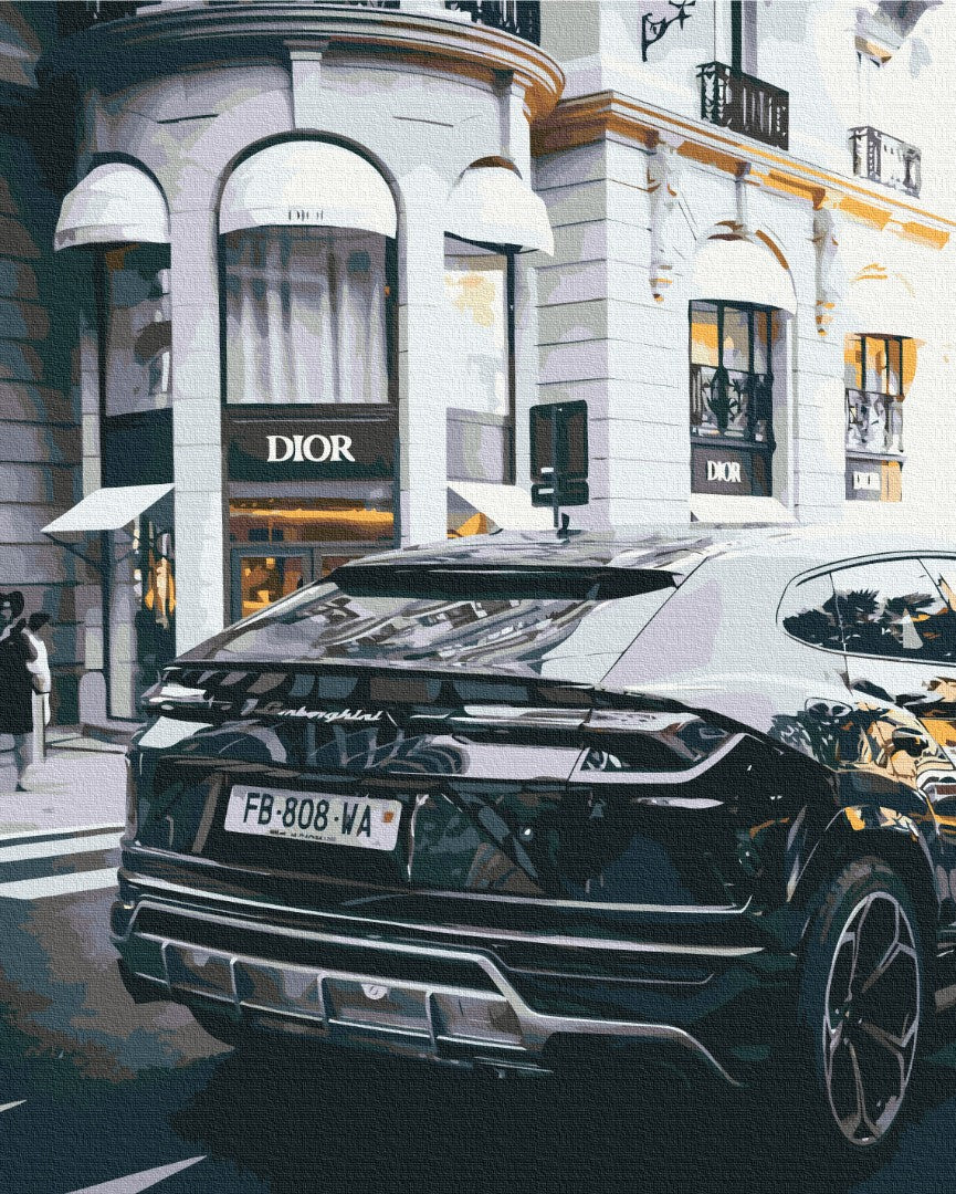 Картина по номерам Роскошная жизнь (BS52523)