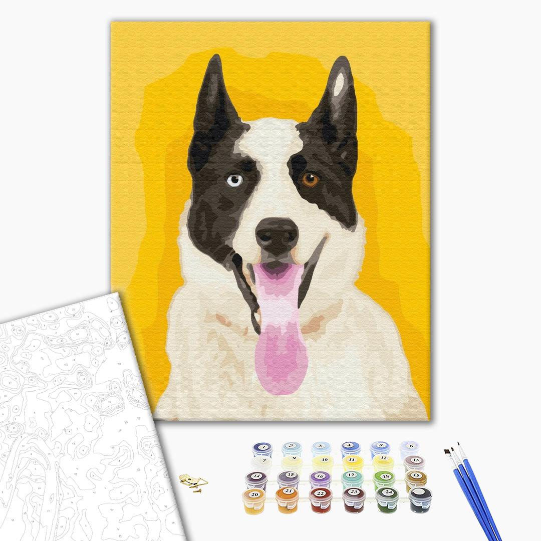 Painting by numbers Bright dog (BS51800)