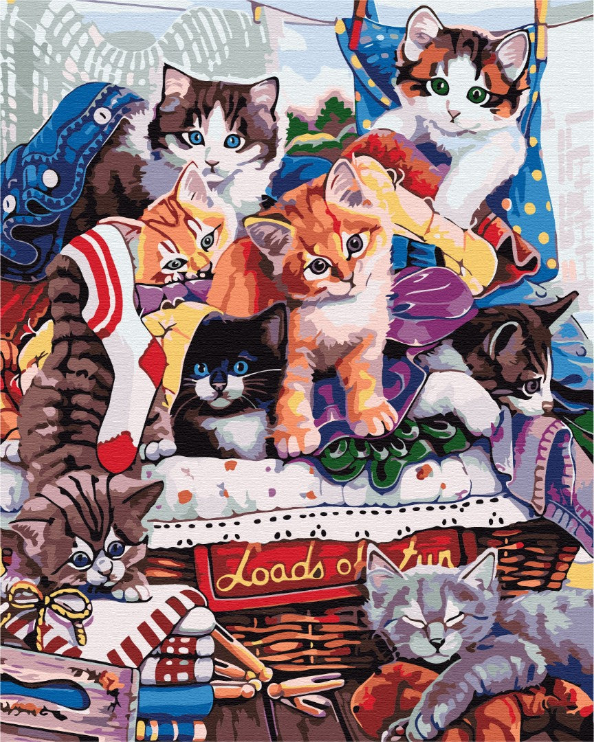Painting by numbers Funny kittens (BS51676)