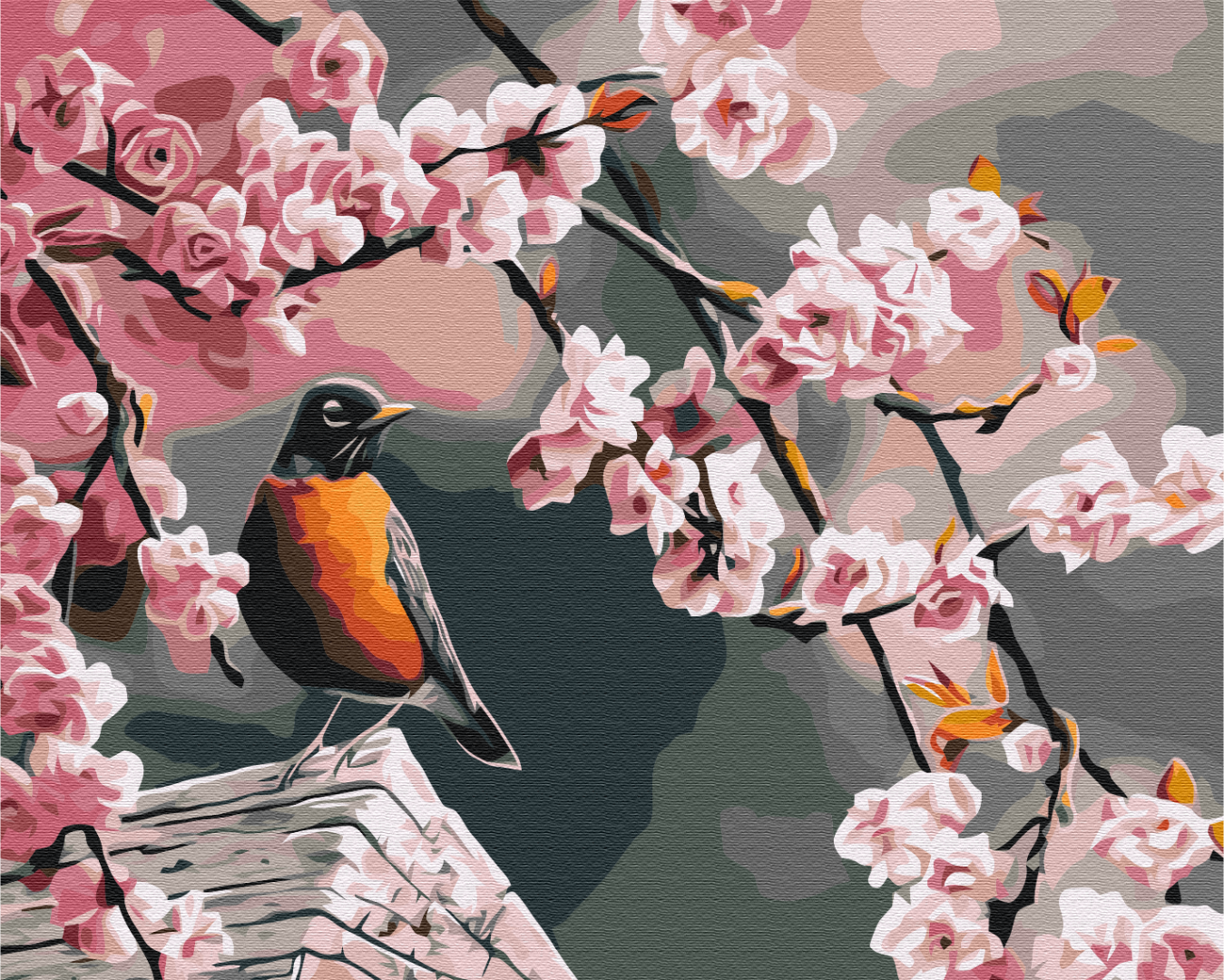 Painting by numbers Bullfinch and sakura (BS52216)