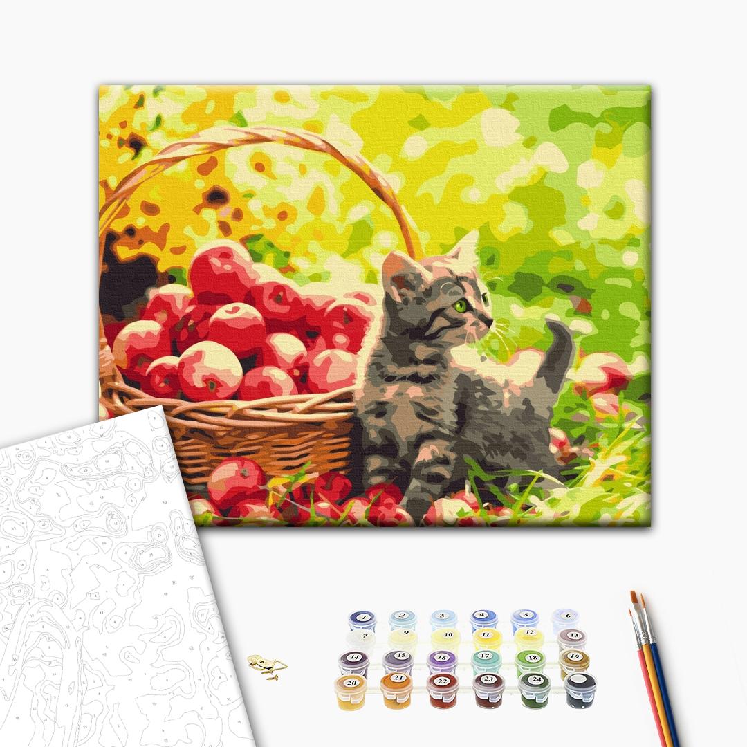 Painting by numbers Apple cat (BS52657)