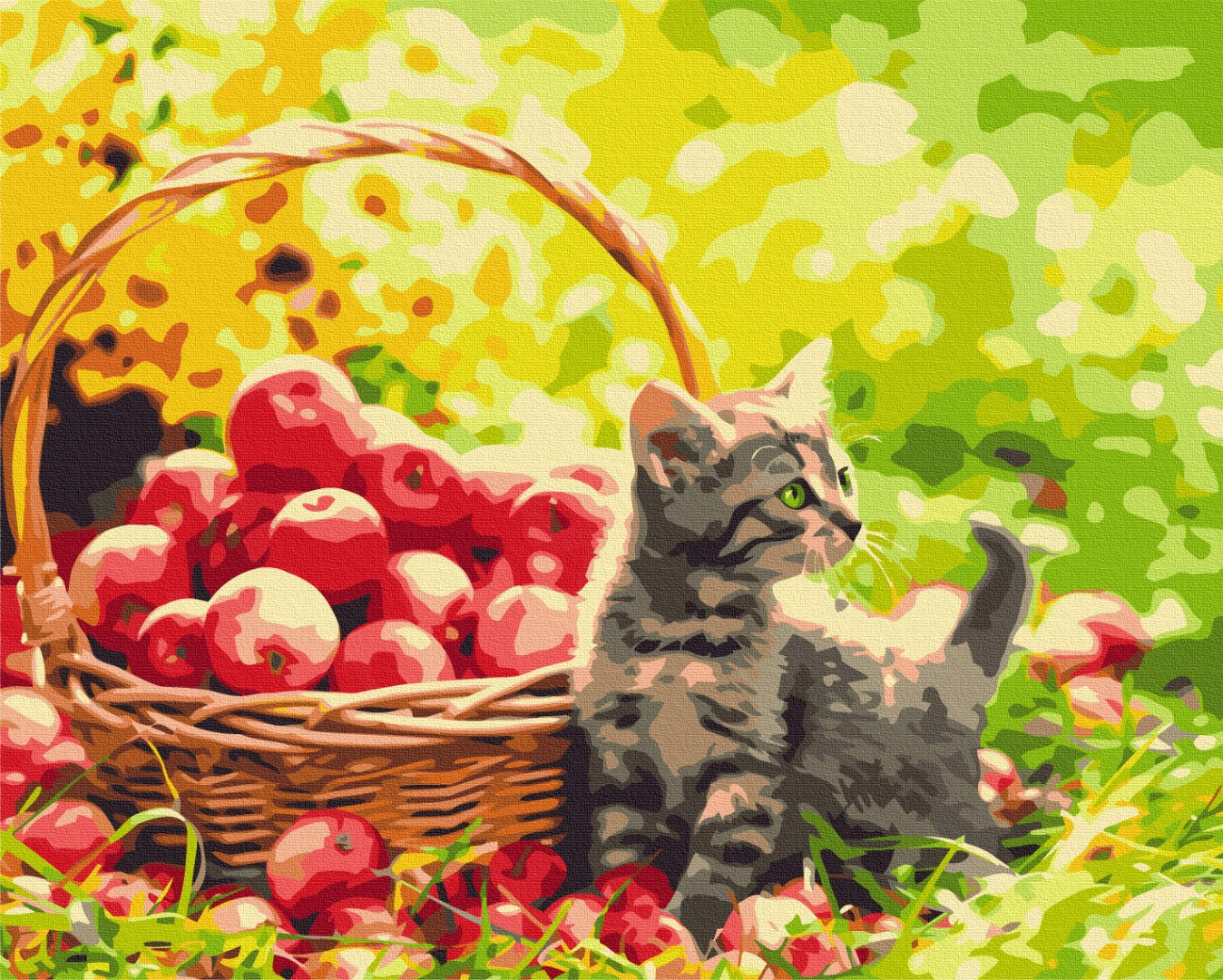Painting by numbers Apple cat (BS52657)