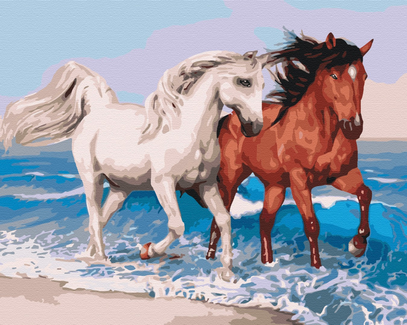 Painting by numbers Horses on the coast (BS51568)