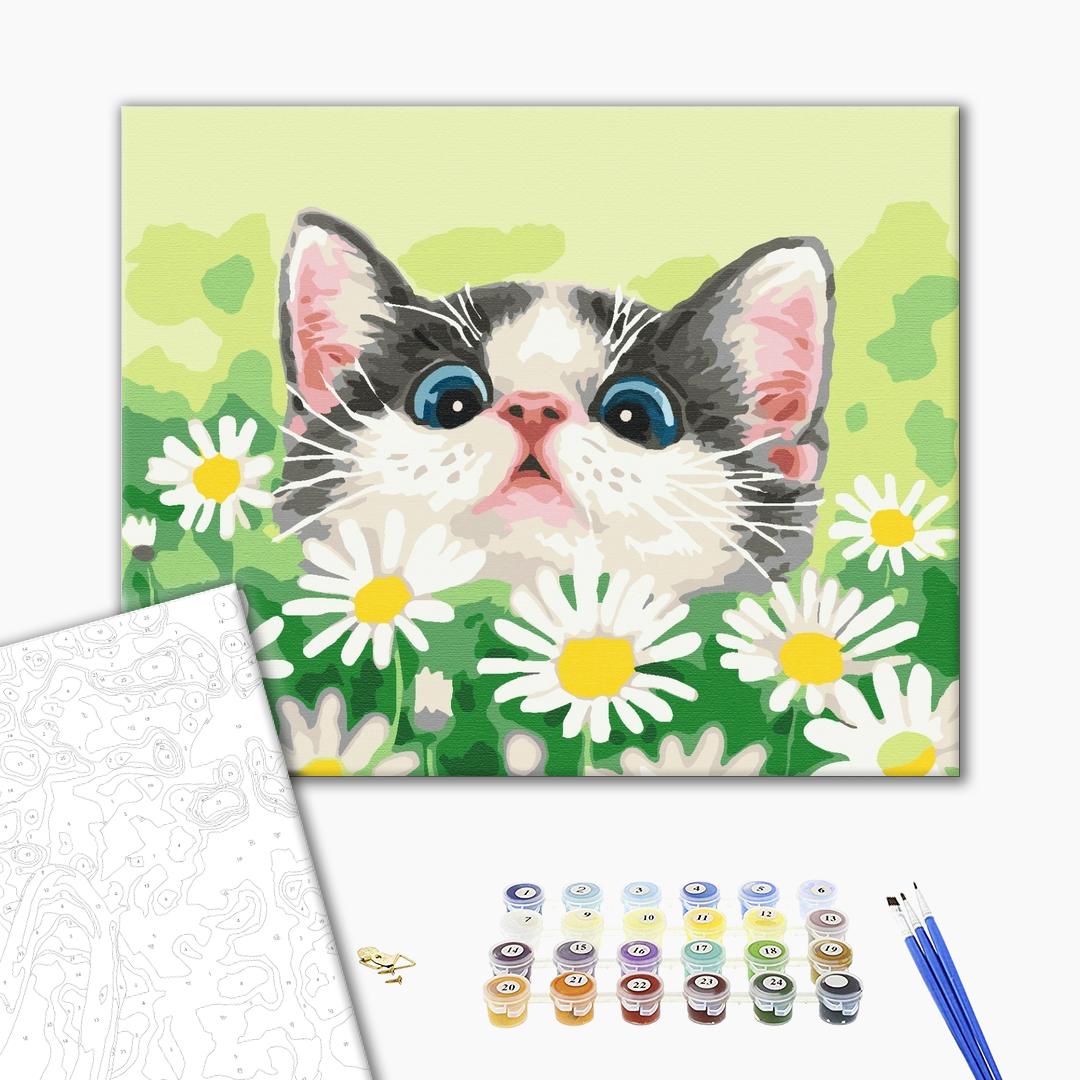 Painting by numbers Cat in daisies (BS51569)