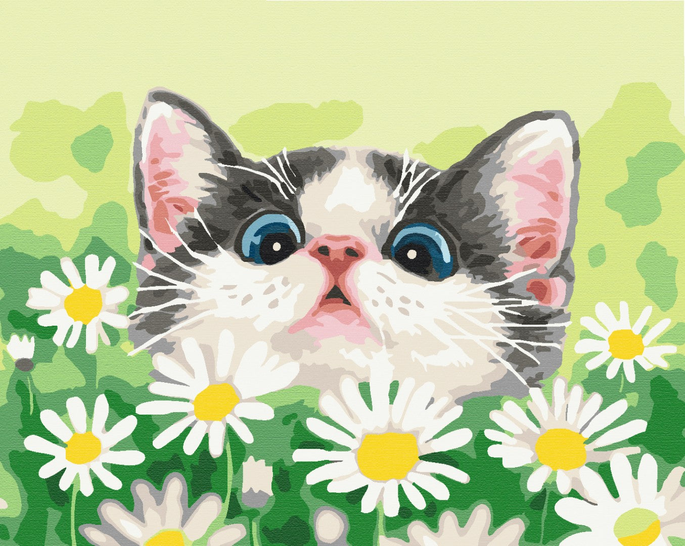 Painting by numbers Cat in daisies (BS51569)
