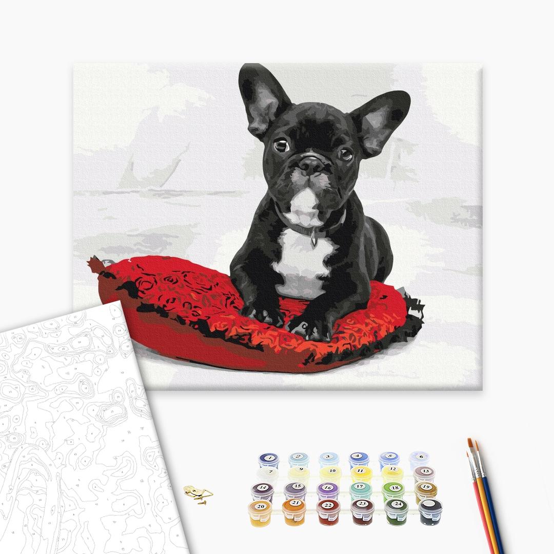 Painting by numbers My favorite dog (BS51842)