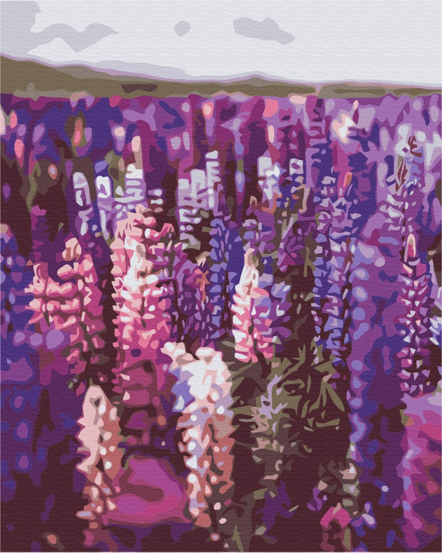 Painting by numbers Lavender (BS52625)