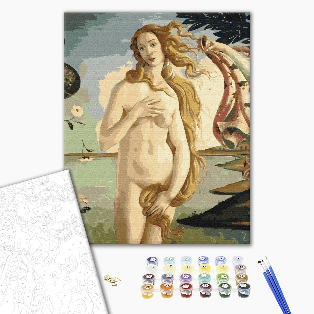 Painting by numbers Birth of Venus. Sandro Botticelli (BS52409)