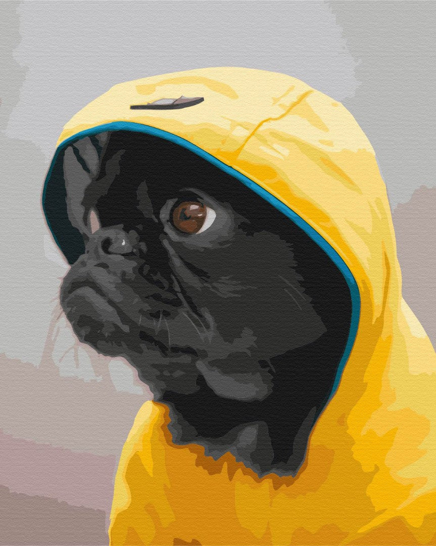 Painting by numbers Pug in hood (BS52614)