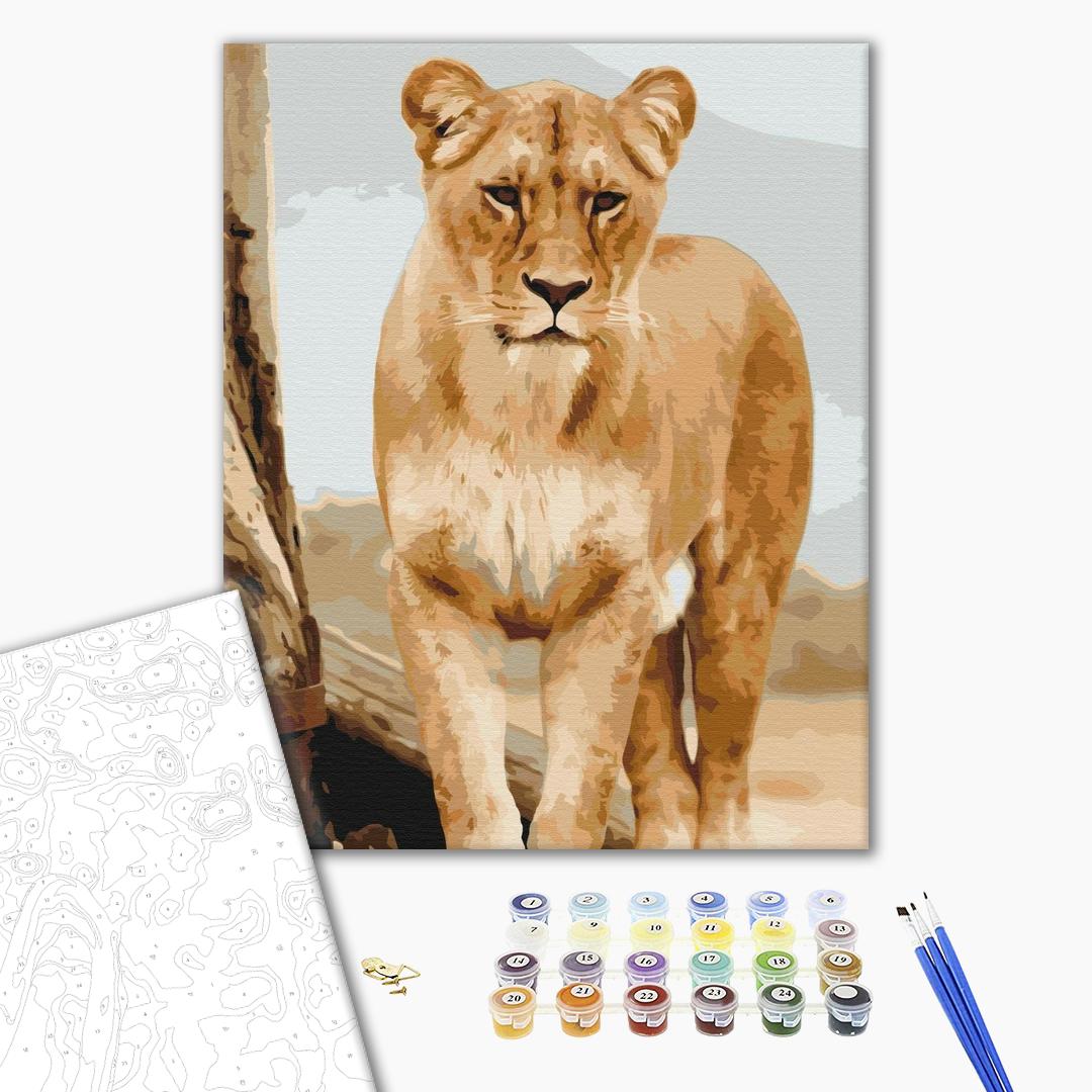 Painting by numbers Young lioness (BS52392)