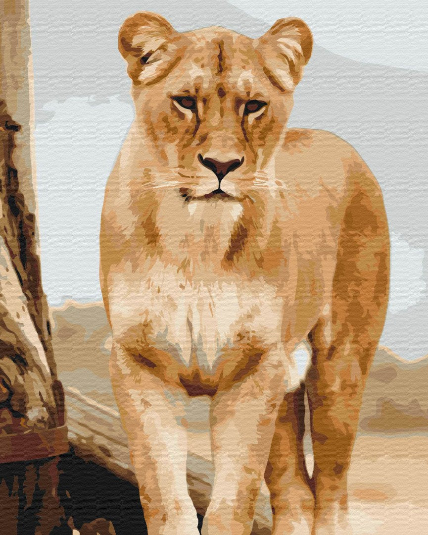 Painting by numbers Young lioness (BS52392)