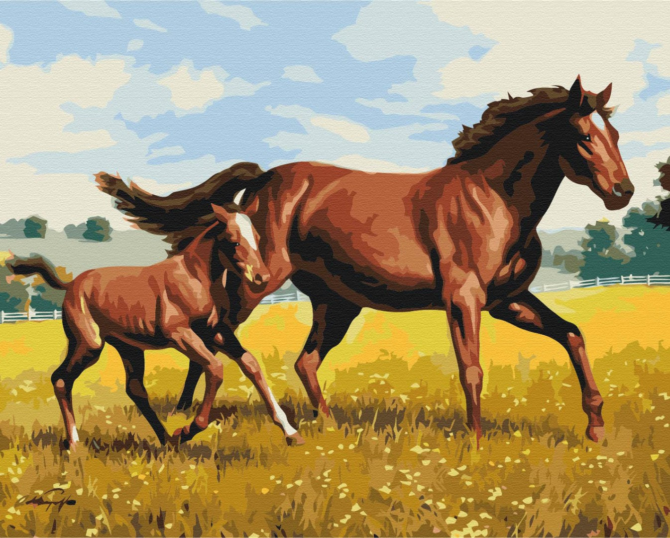 Painting by numbers Family gallop (BS52394)