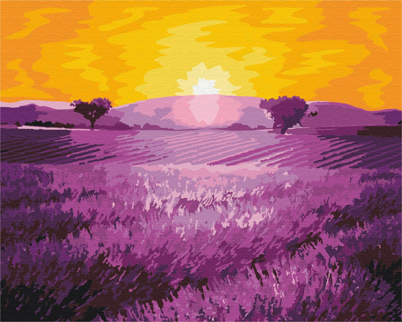 Painting by numbers Sunrise over lavender (BS52690)