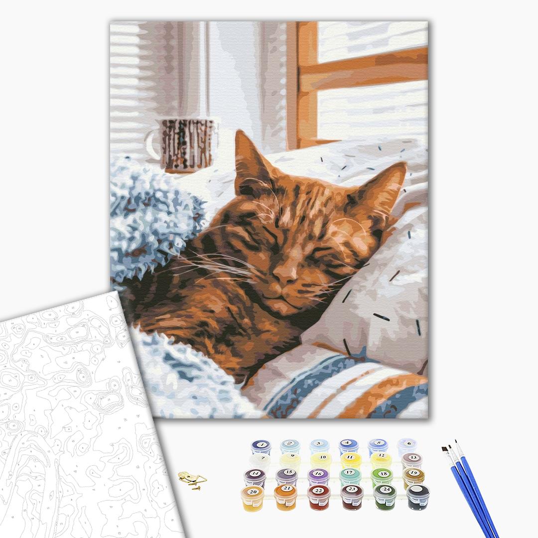 Painting by numbers Morning cat (BS52320)