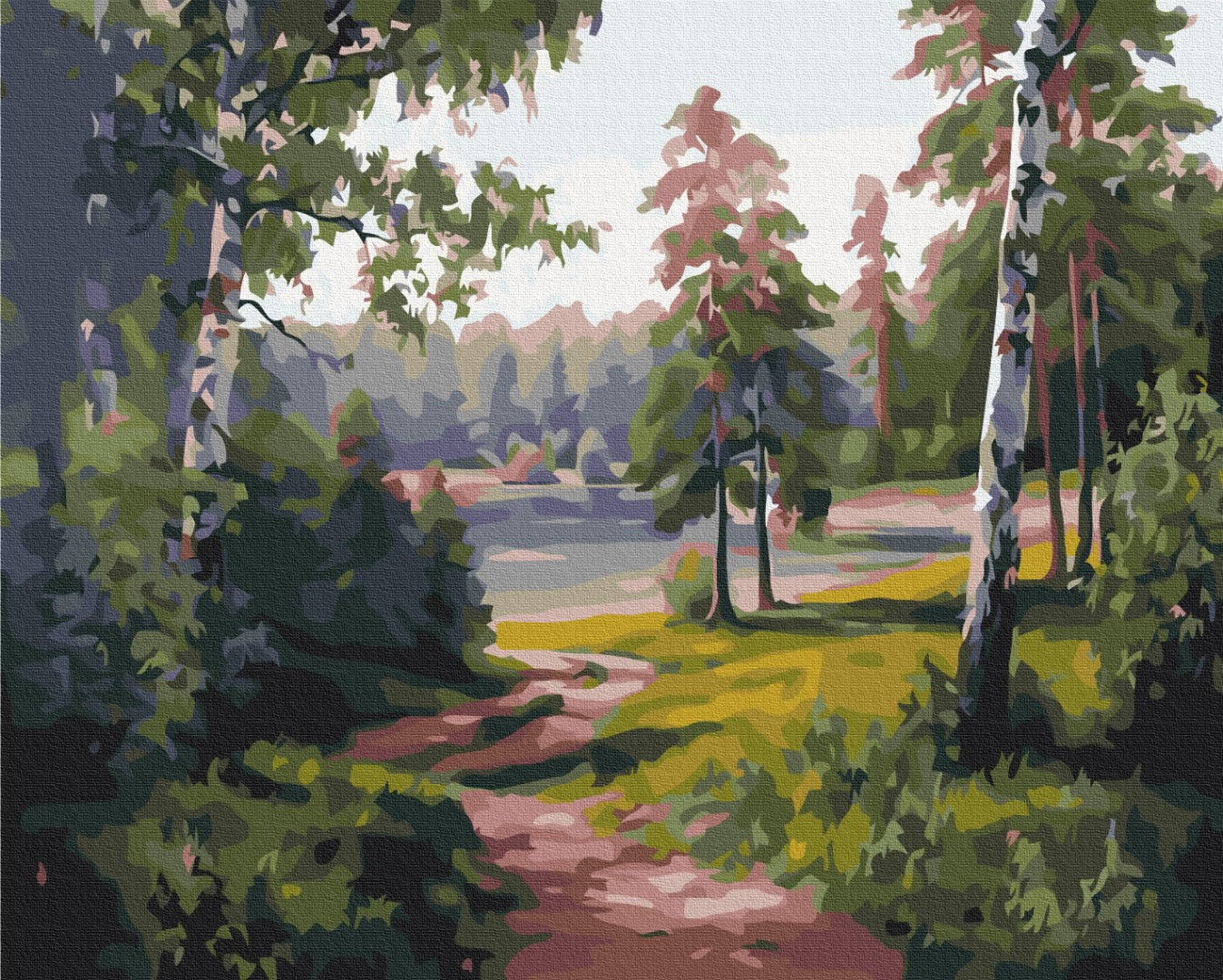 Painting by numbers Birch valley (BS52676)