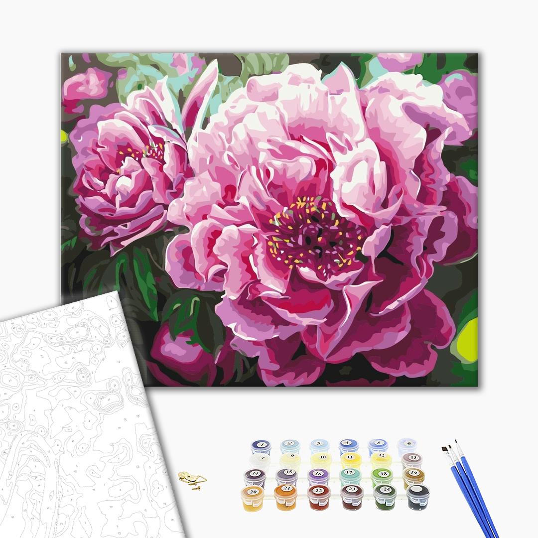 Painting by numbers Luxurious peonies (BS4667)
