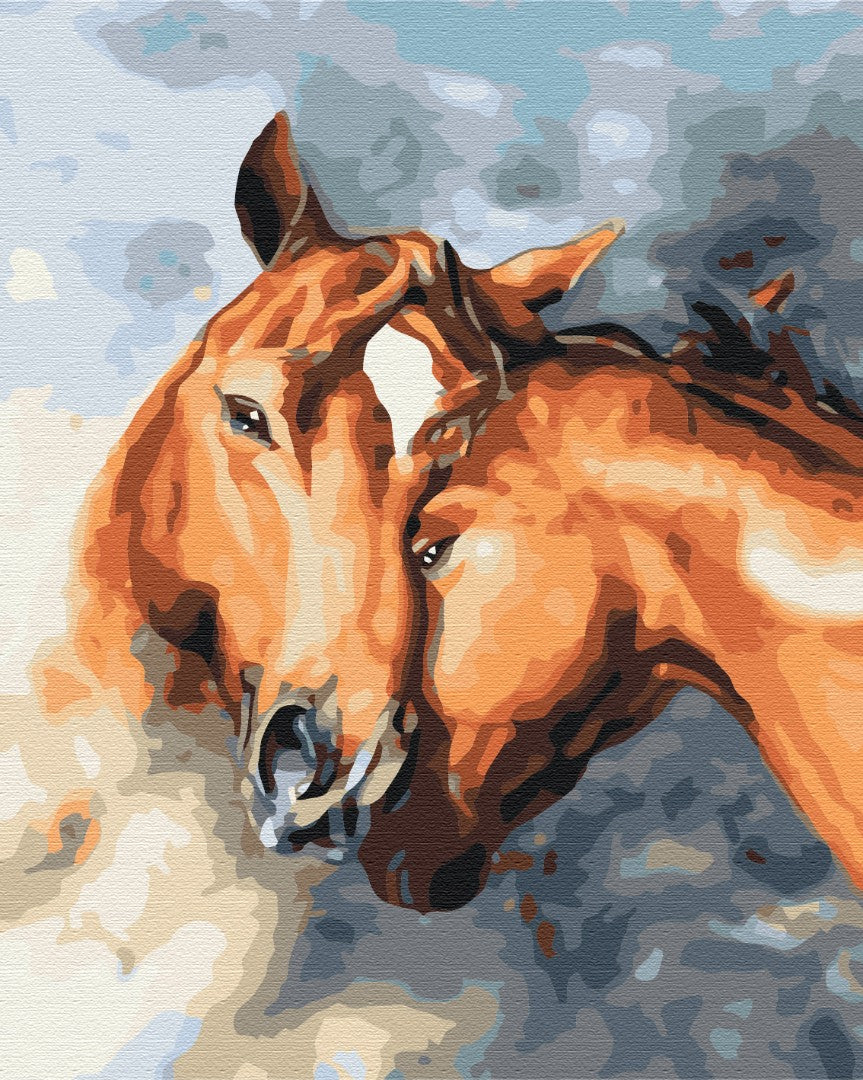 Painting by numbers Horse tenderness (BS28717)