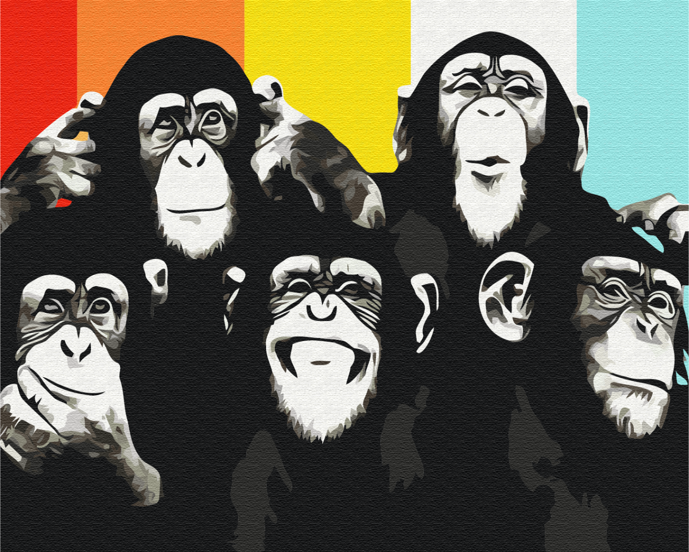 Painting by numbers Chimpanzee portrait (BS52385)