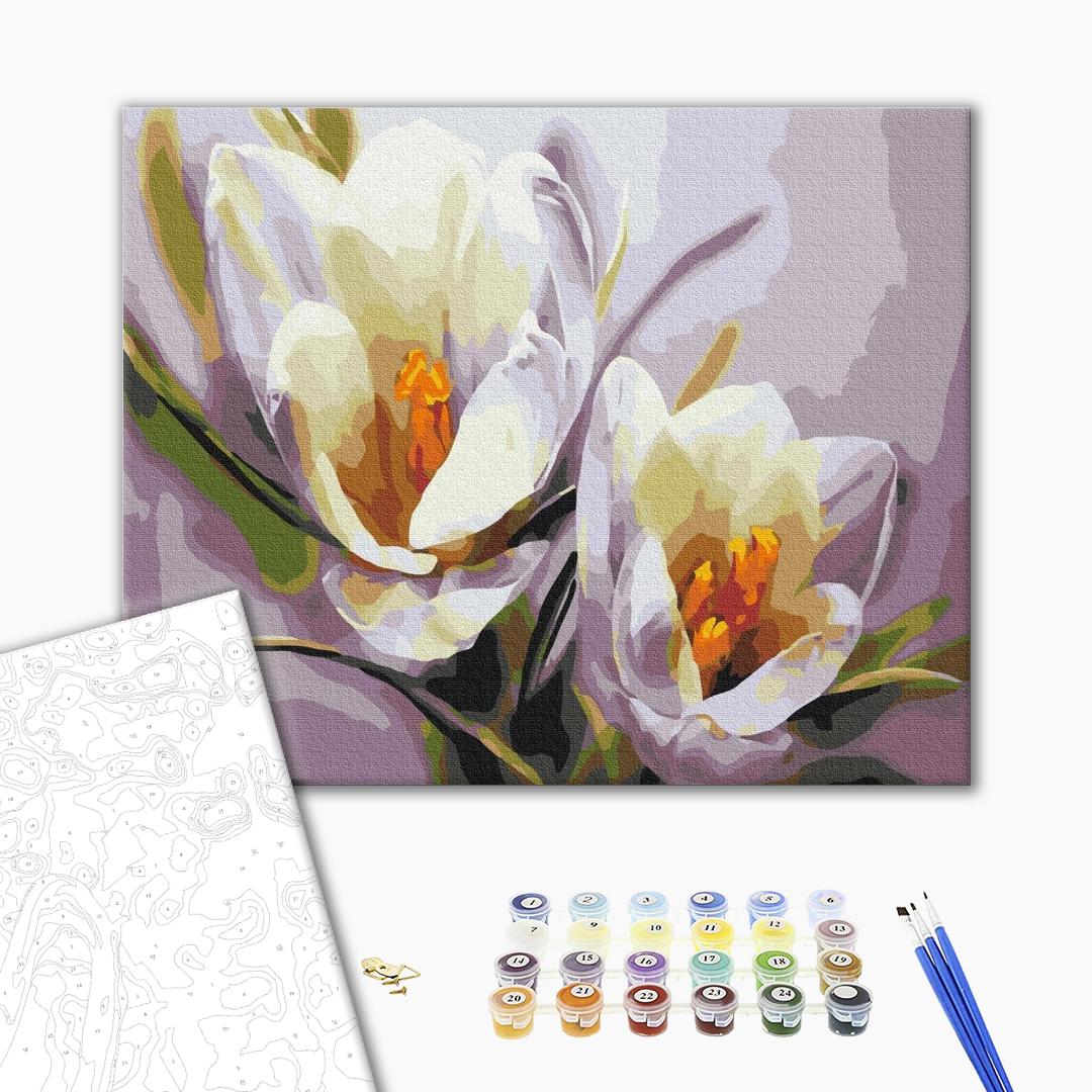 Painting by numbers Crocuses (BS5828)