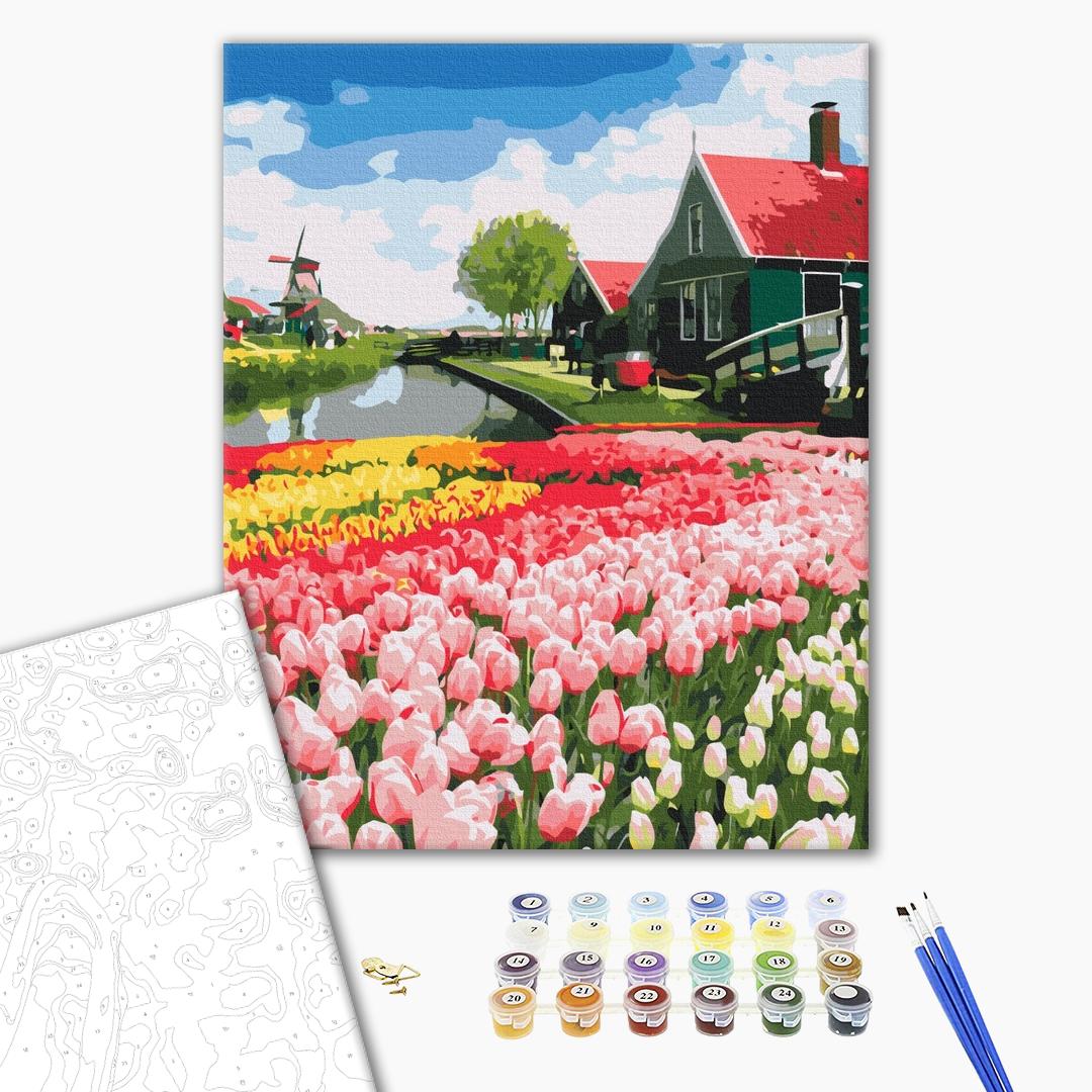 Painting by numbers Dutch province (BS52716)
