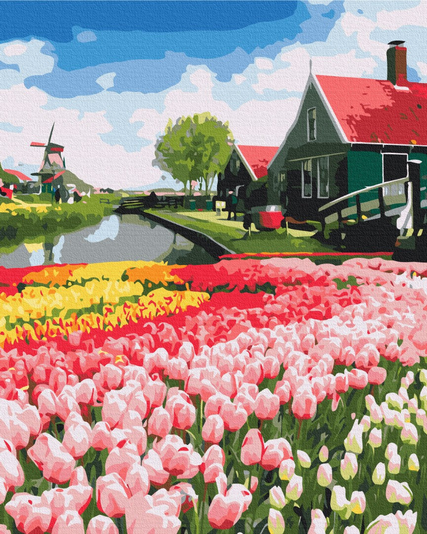 Painting by numbers Dutch province (BS52716)