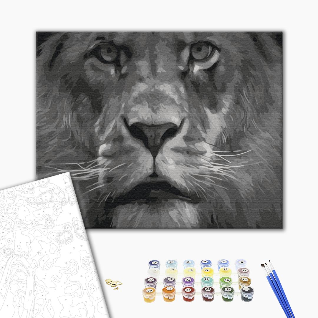Painting by numbers Lion in black and white tones (BS52386)
