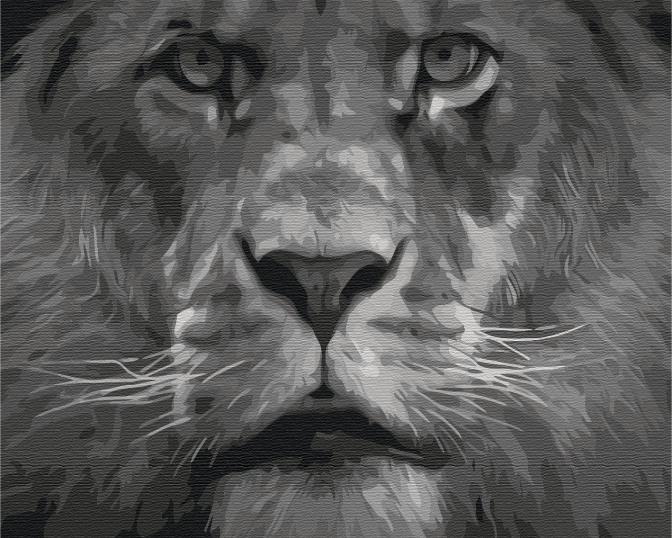 Painting by numbers Lion in black and white tones (BS52386)