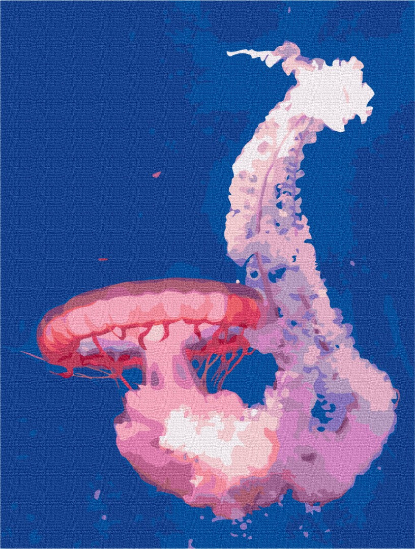 Painting by numbers Jellyfish in flight (BS52746)