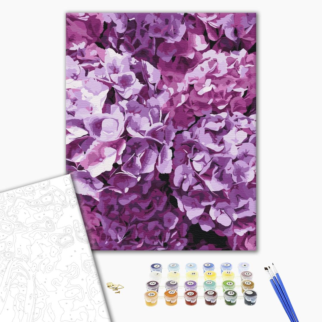 Painting by numbers The beauty of hydrangeas (BS52750)