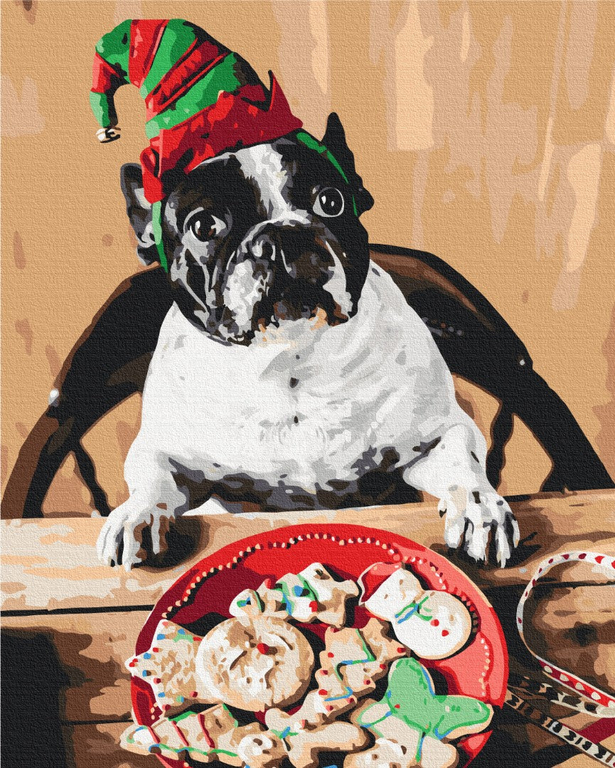 Painting by numbers Pug Santa's helper (BS52775)