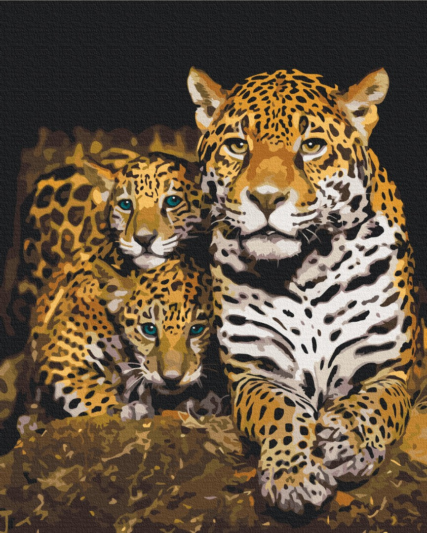 Painting by numbers Nocturnal leopards (BS52791)