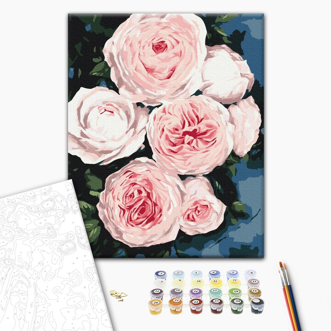 Painting by numbers Buds of lush roses (BS40586)