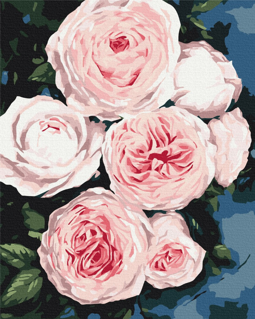 Painting by numbers Buds of lush roses (BS40586)