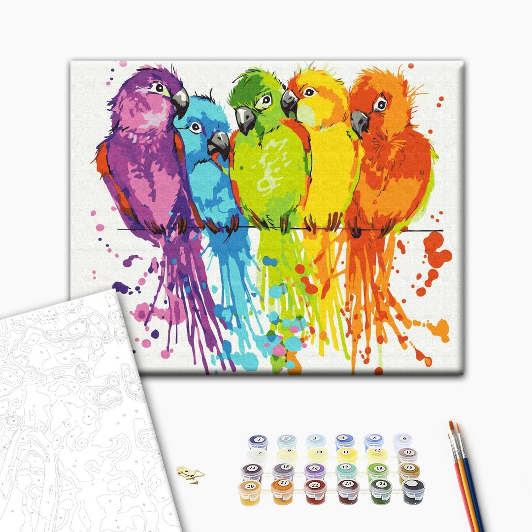 Painting by numbers Colorful parrots (BS28115)
