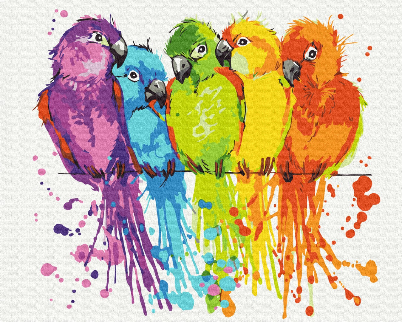 Painting by numbers Colorful parrots (BS28115)