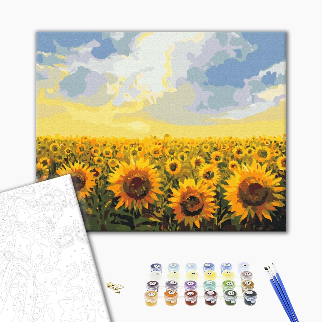 Painting by numbers Sunflower field (BS135)