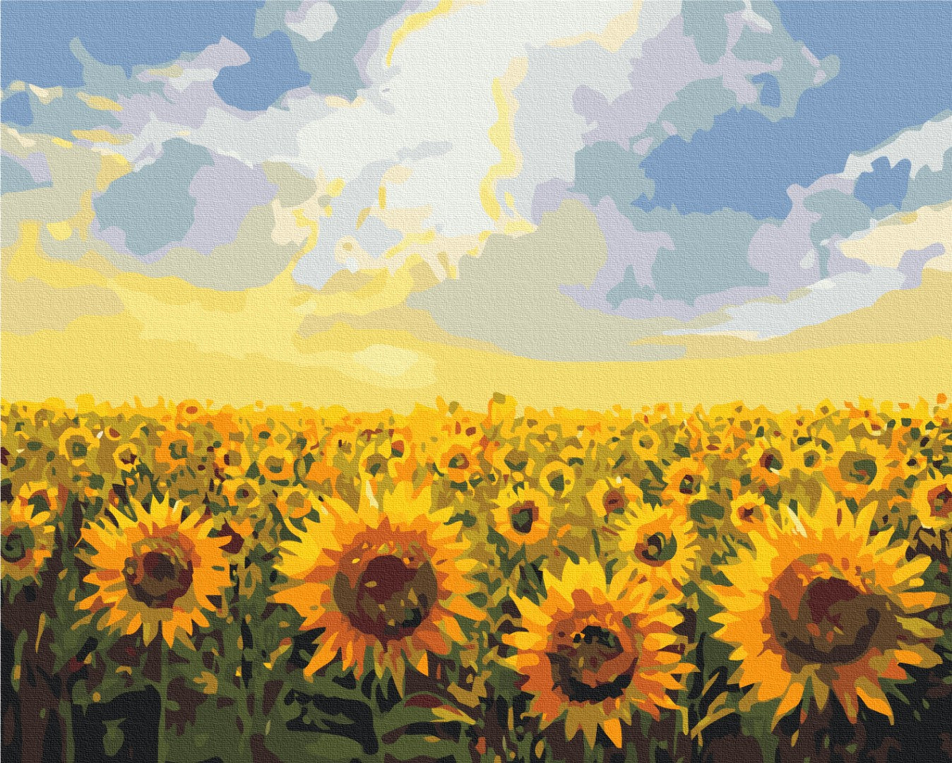 Painting by numbers Sunflower field (BS135)