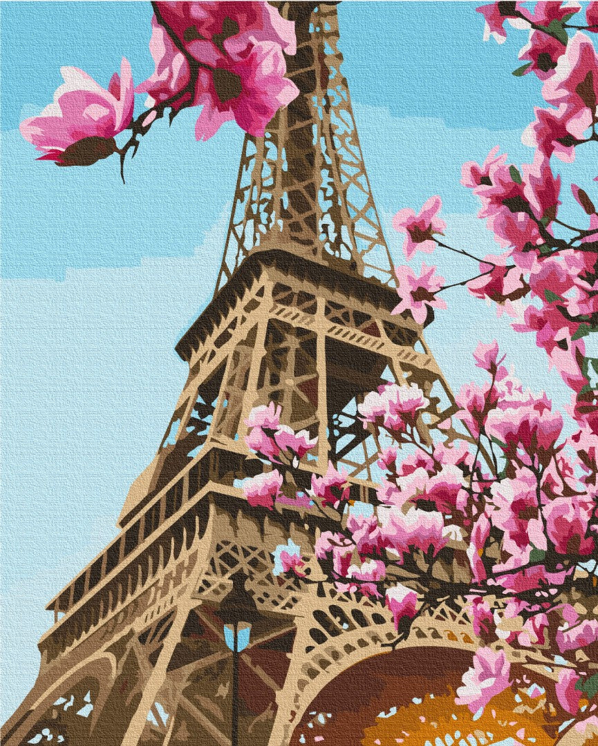 Painting by numbers Sakura in Paris (BS52836)
