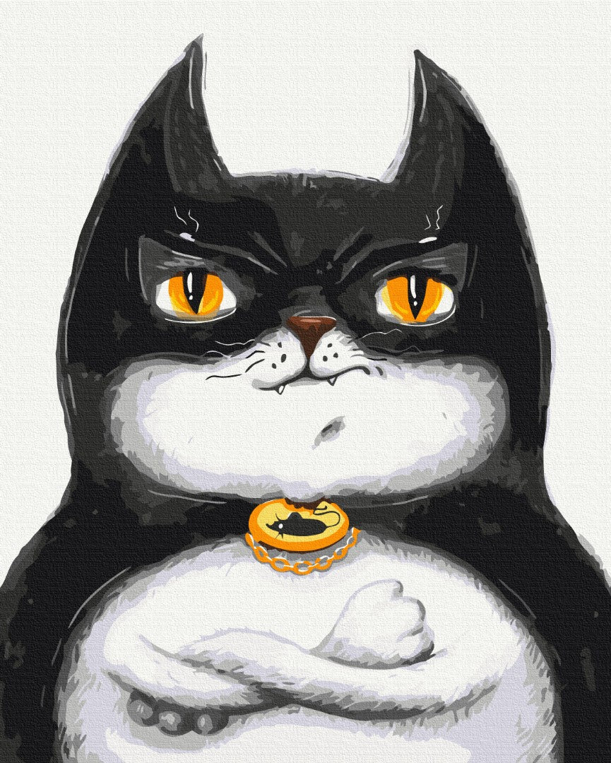 Painting by numbers Cat Batman © Marianna Pashchuk (BS53116)