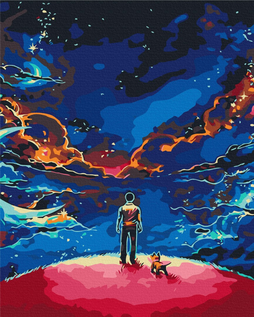 Painting by numbers The little Prince (BS30081)
