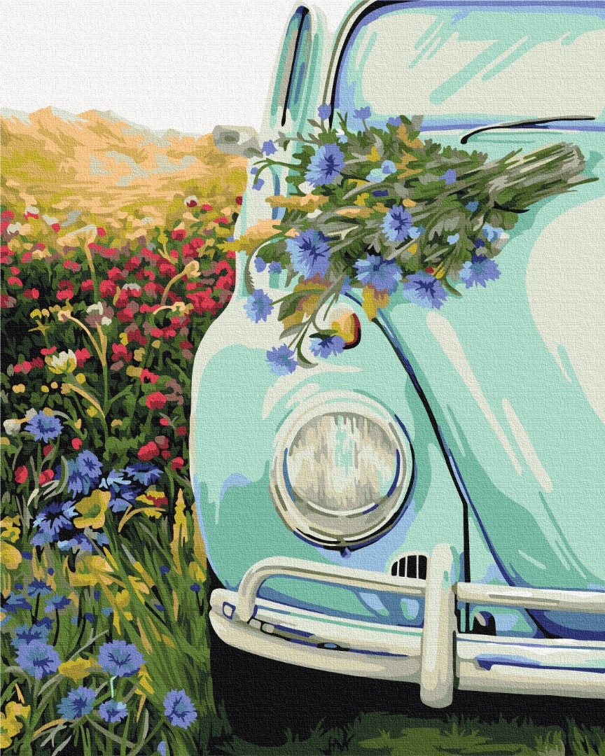 Painting by numbers Retro in the field (BS51721)