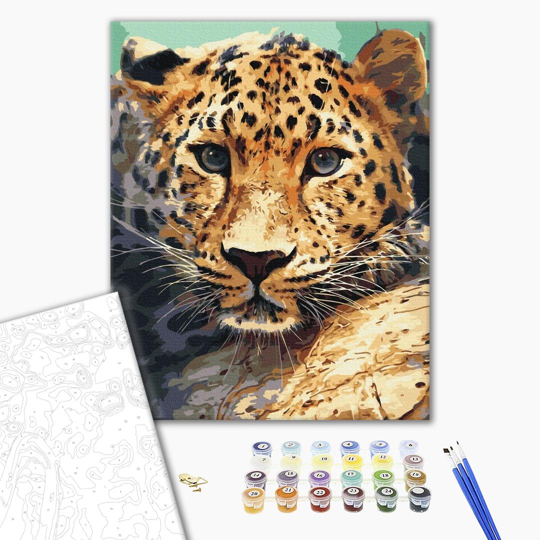 Painting by numbers Leopard portrait (BS51736)