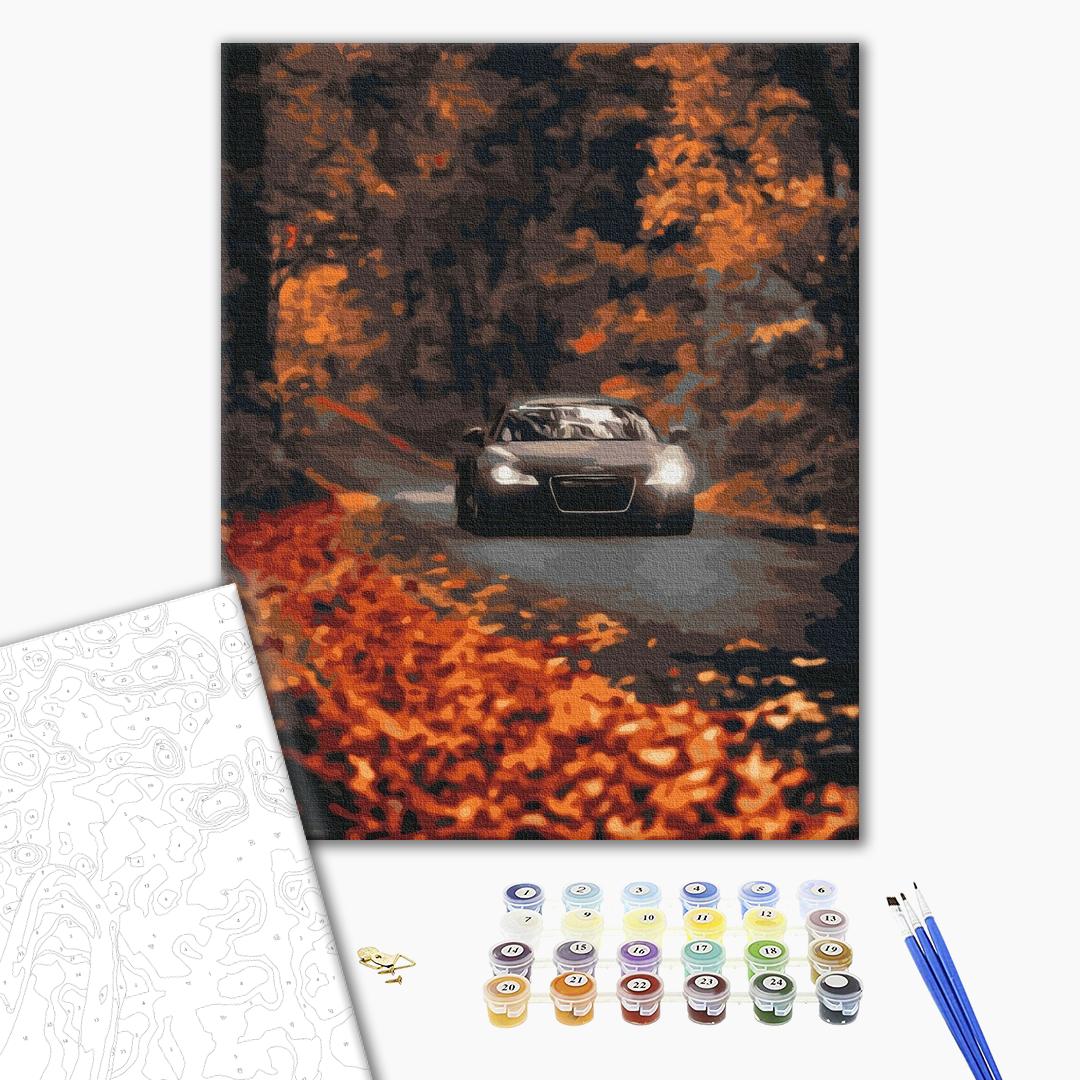 Painting by numbers Autumn road (BS53291)