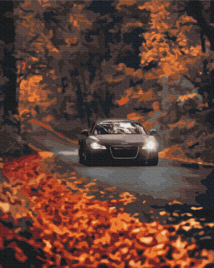 Painting by numbers Autumn road (BS53291)