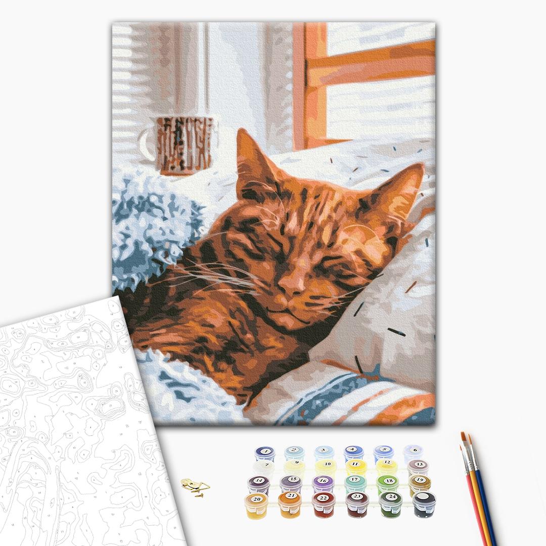 Painting by numbers Morning cat (RBS52320)